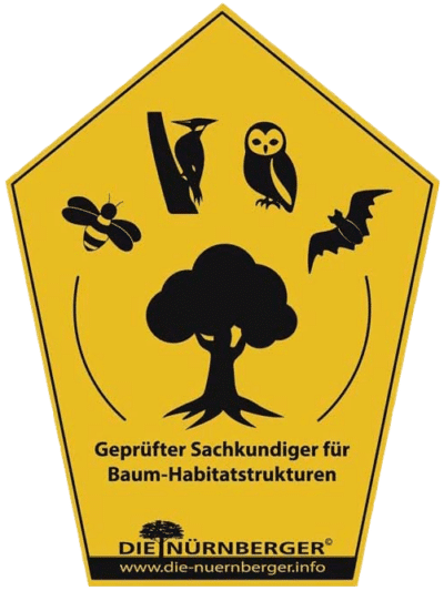 Geprüfter Sachkundiger für Baum-Habitatstrukturen